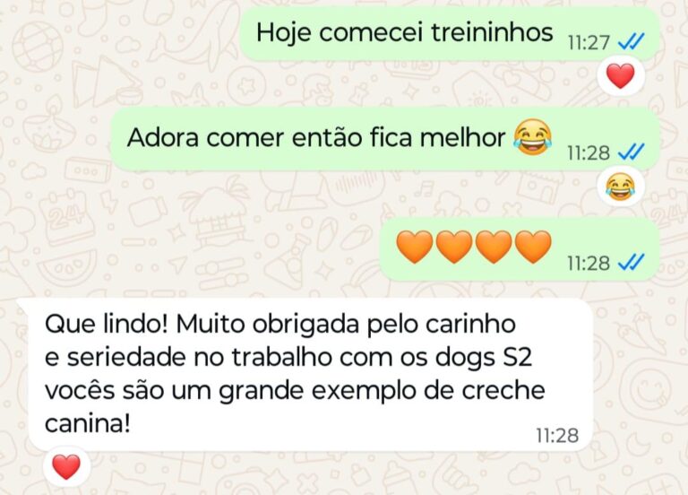 WhatsApp Image 2025-12-08 at 09.36.22 (2)