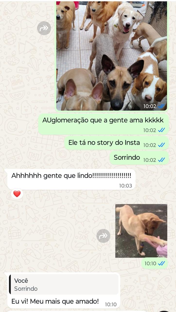 WhatsApp Image 2025-12-08 at 09.36.23 (1)