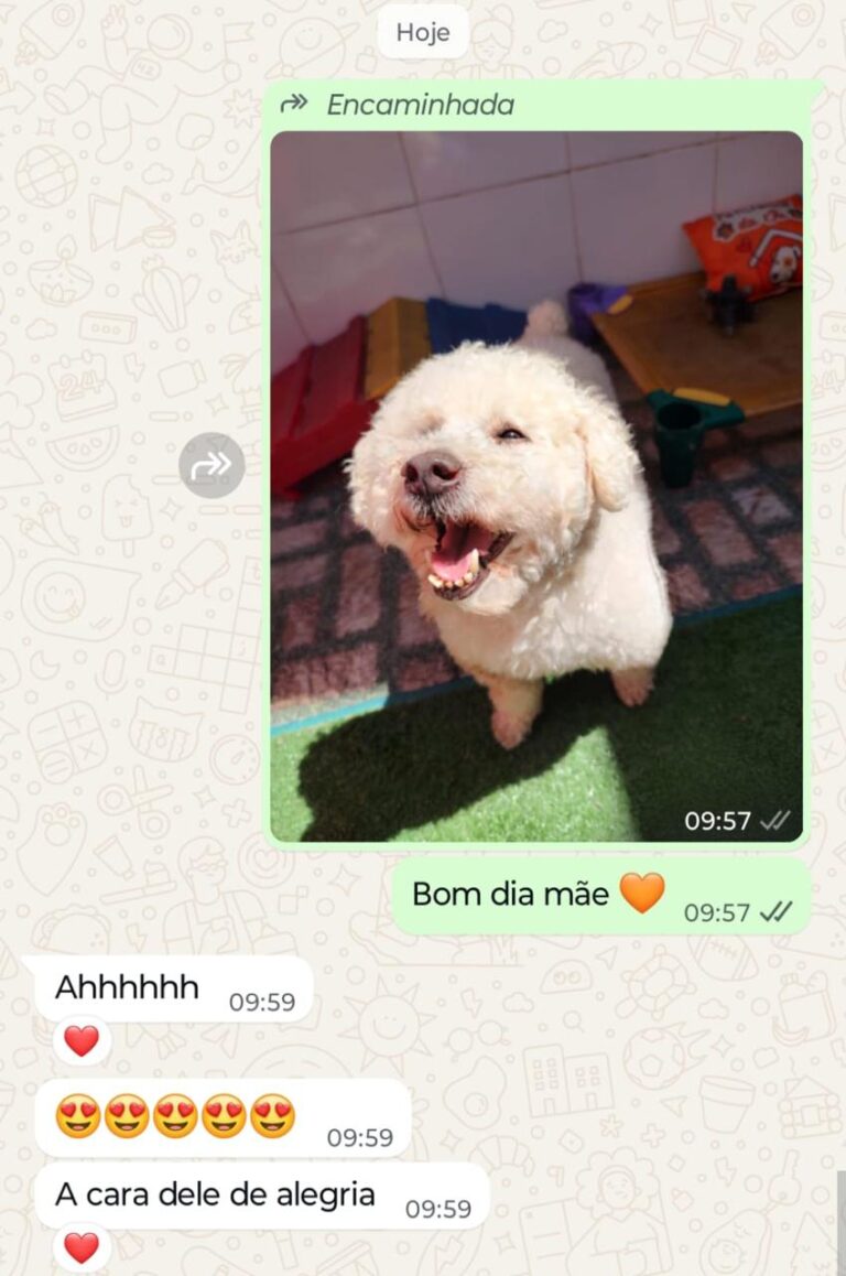 WhatsApp Image 2025-12-08 at 09.36.23 (2)