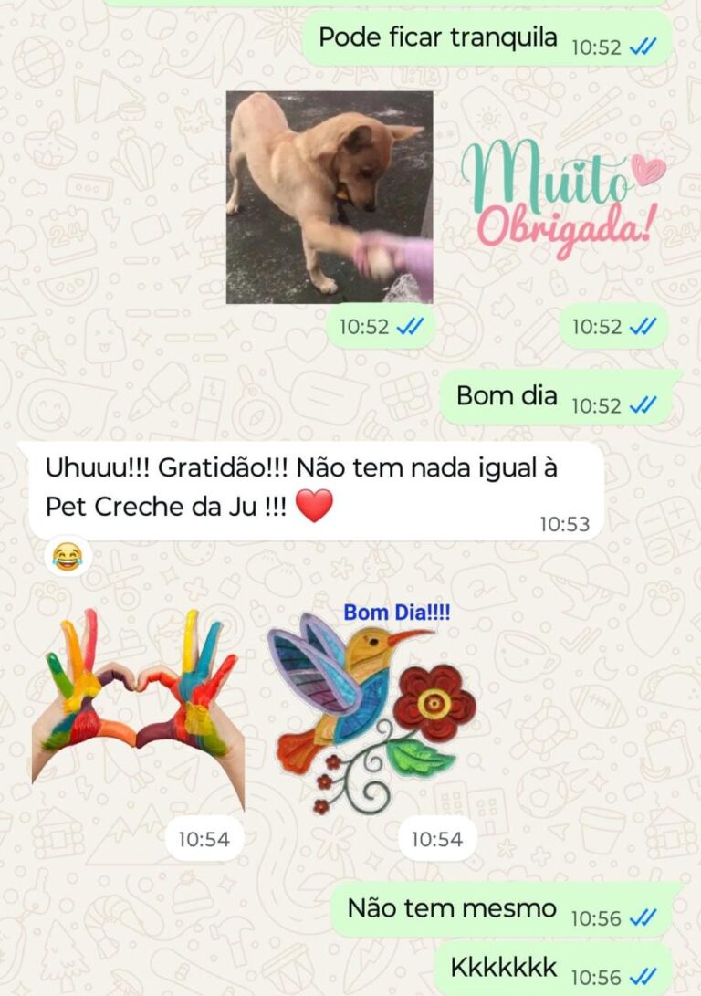 WhatsApp Image 2025-12-08 at 09.36.23