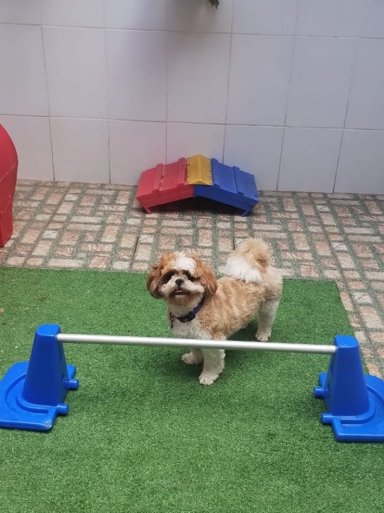 IMG-20251022-WA0028 IMG-20251022-WA0028