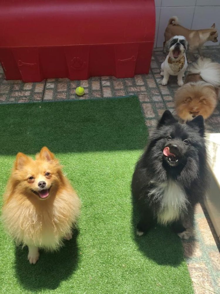 WhatsApp Image 2025-12-08 at 09.14.38